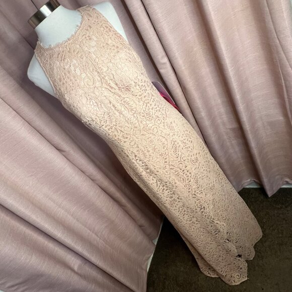 NWT  JS Collections 12 Formal Pink/beige Intricate Lace Elegant Maxi Weddings - Picture 5 of 16